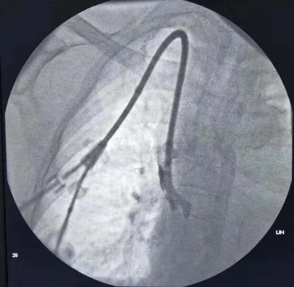 微信(xin)圖片_20250909140645.jpg 微信(xin)圖片_20250909140645.jpg