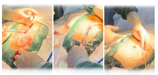 微信(xin)圖片_20230629103651.jpg 微信(xin)圖片_20230629103651.jpg